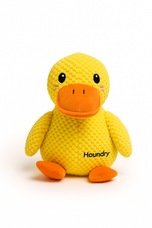 Houndry™ Calming Duck Companion